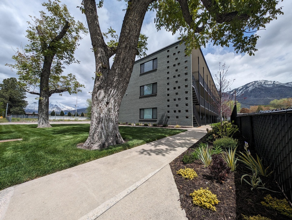 Halladay - Carter Ridge (Student)